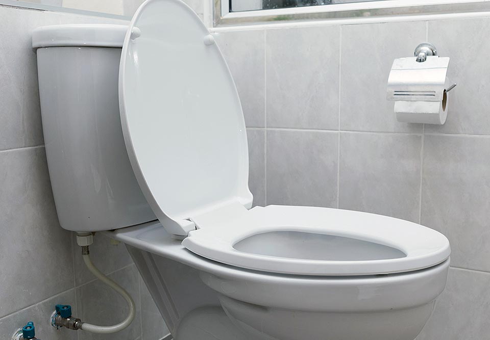 Richmond Hill Plumber High Efficiency Toilet