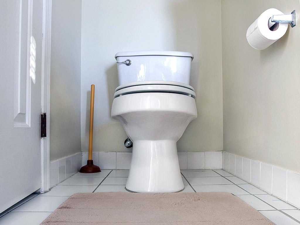 Toilet Leak Forest Hills Plumbing Questions