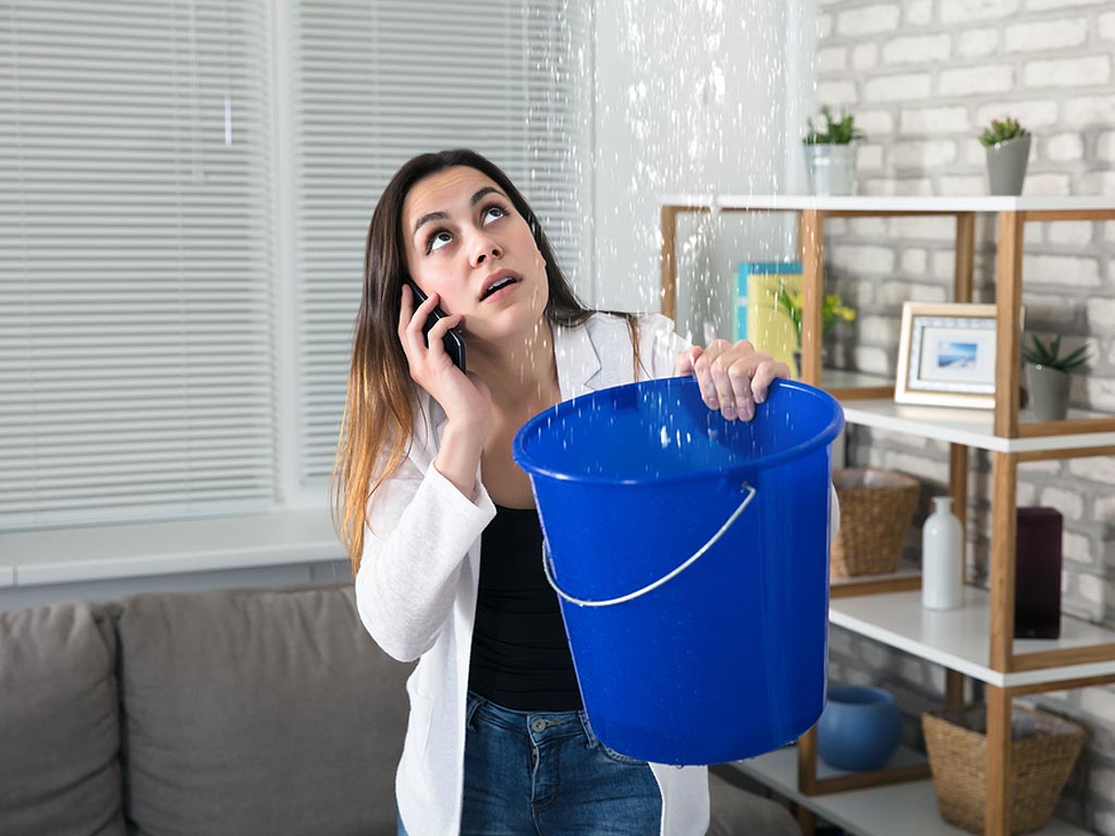 Emergency Plumbing Services Leaking Roof